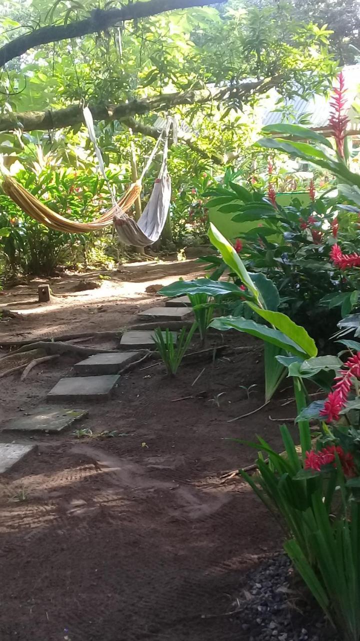 casa chilamates Tortuguero Exterior foto